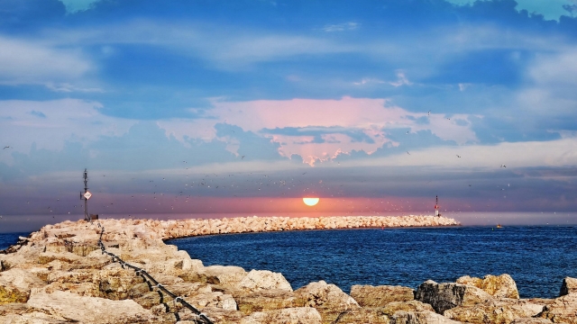 开元室内胸肌健身小常识